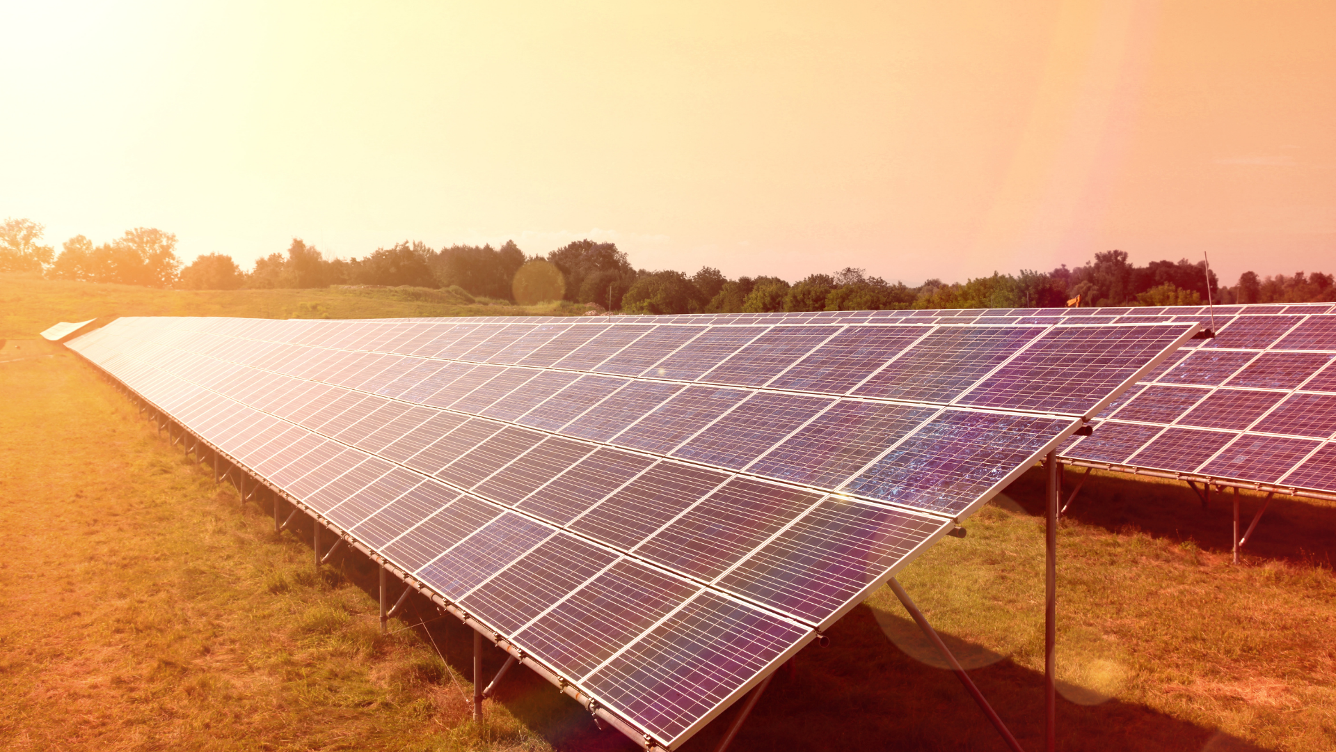 Solar Enerji Firmaları Denizli, Denizli Solar Enerji Sistemleri, Denizli Solar Enerji Fiyatı, Denizli Solar Enerjisi Sistemleri, Denizli Solar Paneli Fiyatları
